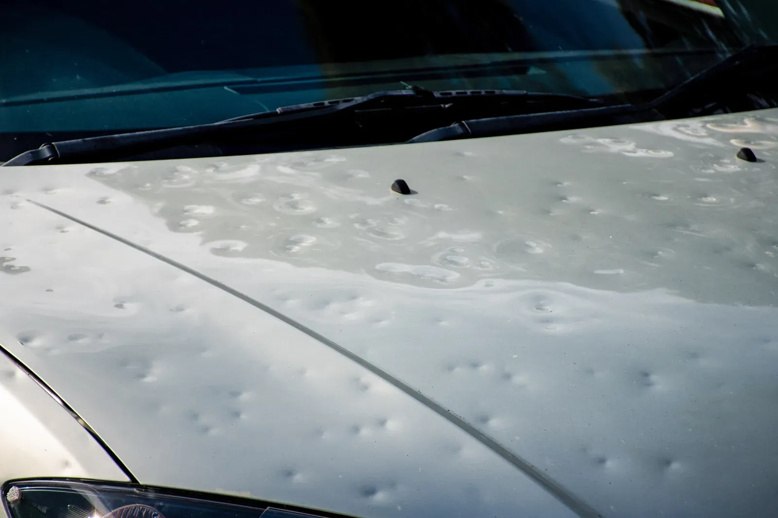 A silver hood peppered with small hail dents below the windshield